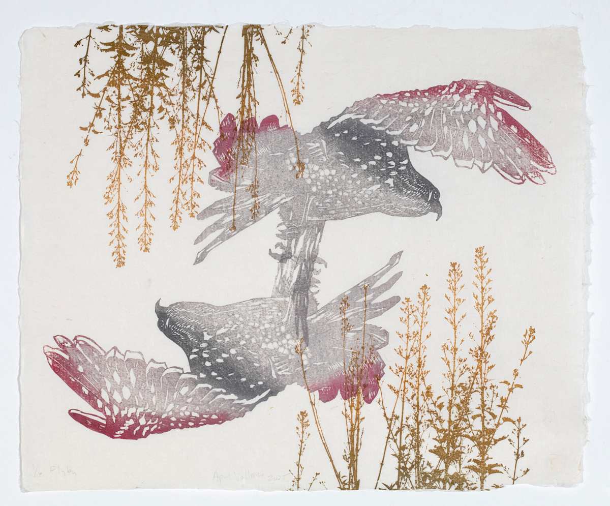 Flyby, ed 6 by April Vollmer, Image 2.
