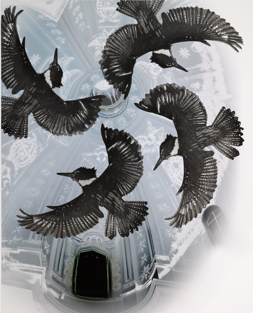 Four Kingfishers in the dome of Sant'Ivo (large) by April Vollmer 