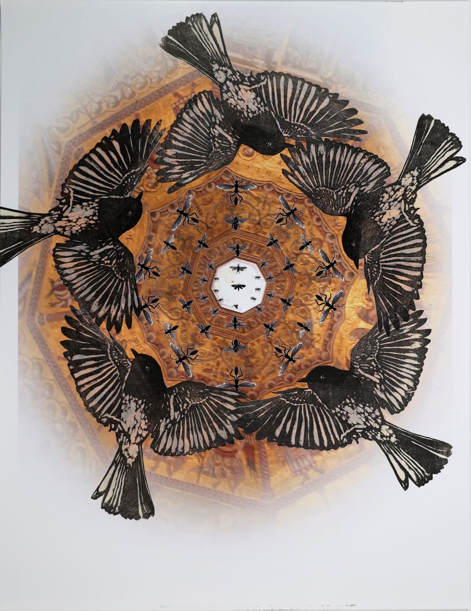 Five Black Phoebes in the dome of the Florence Baptistry (with insects) by April Vollmer  Image: California black phoebes in the dome of San Giovanni baptistry in Rome, with a digital array of insects. 