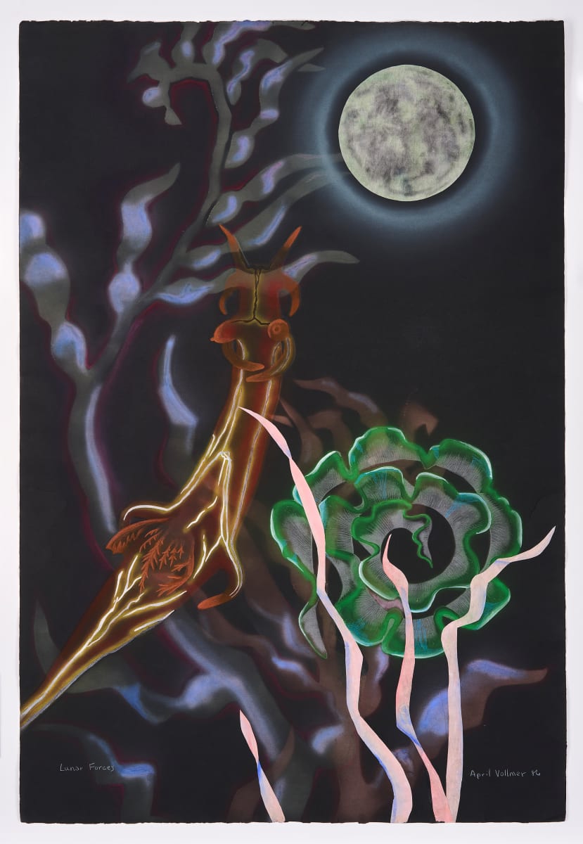 Macrocystis - Lunar Forces by April Vollmer  Image: nudibranch with egg case in kelp at full moon