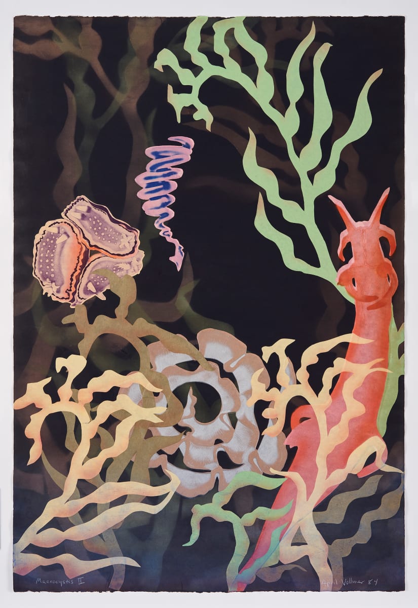 Macrocystis II by April Vollmer  Image: layers of kelp and nudibranchs with egg cases, layers of printing, colored washi and airbrush gradation