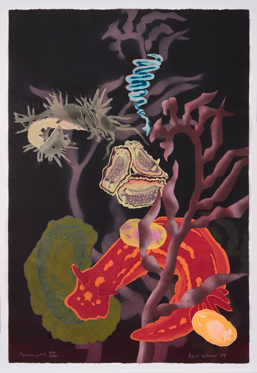 Macrocystis III by April Vollmer  Image: four kinds of nudibranchs in kelp, with color from etching, chine colle and airbrush