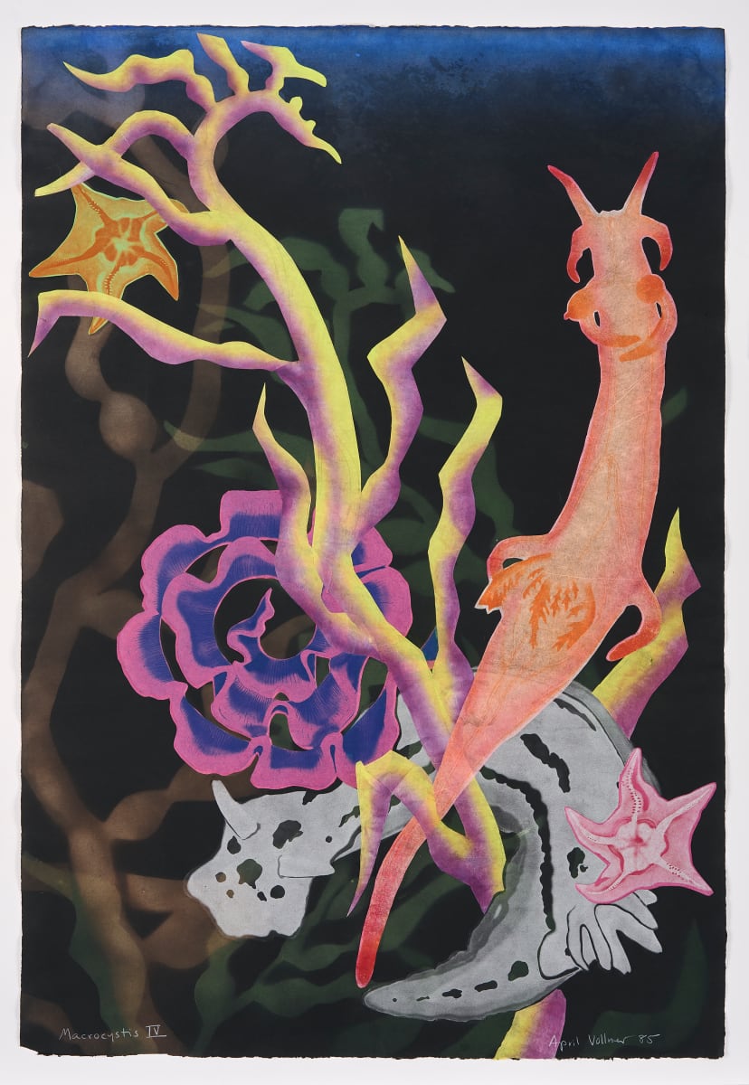 Macrocystis IV by April Vollmer  Image: sea stars added to a mix of kelp and nudibranchs