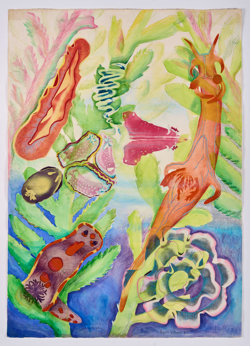 Macrocystis - Intertidal by April Vollmer  Image: nudibranchs layered with watercolor macrocystis kelp, colored pencil, airbrush, lots going on