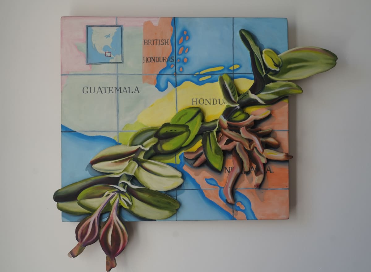 Border Orchid by April Vollmer  Image: Guatemala is home to a huge diversity of orchids--endangered by poaching