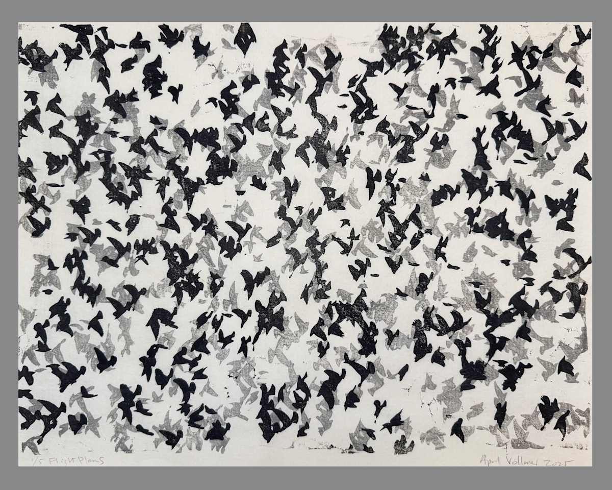 Flight Plans (ed 5) by April Vollmer, Image 1.