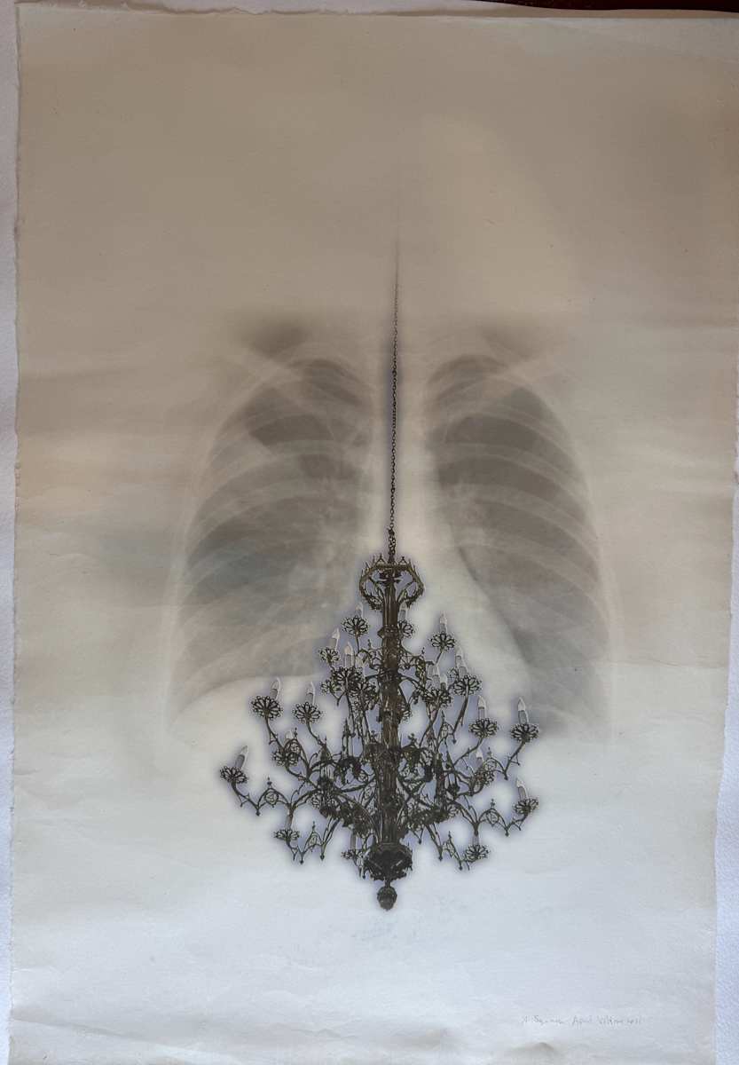 Squinch (unique) by April Vollmer  Image: ribcage as architecture