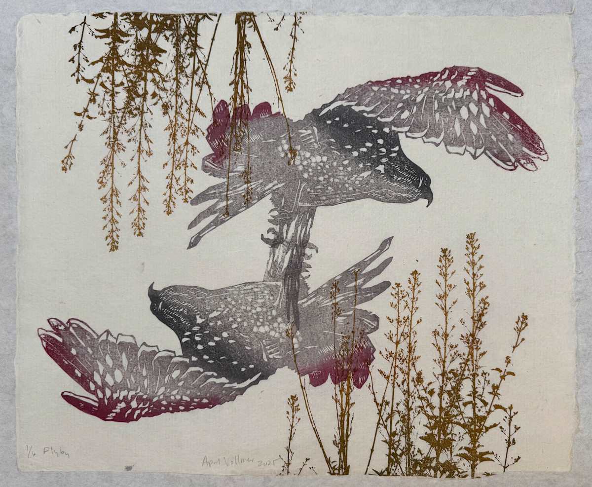 Flyby, ed 6 by April Vollmer 