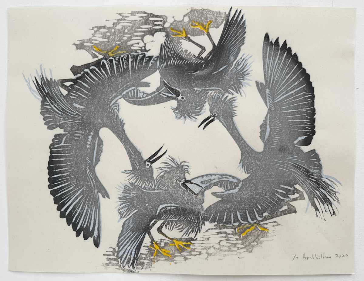 Angry Egrets 2: Tumble (ed 7) by April Vollmer, Image 1.
