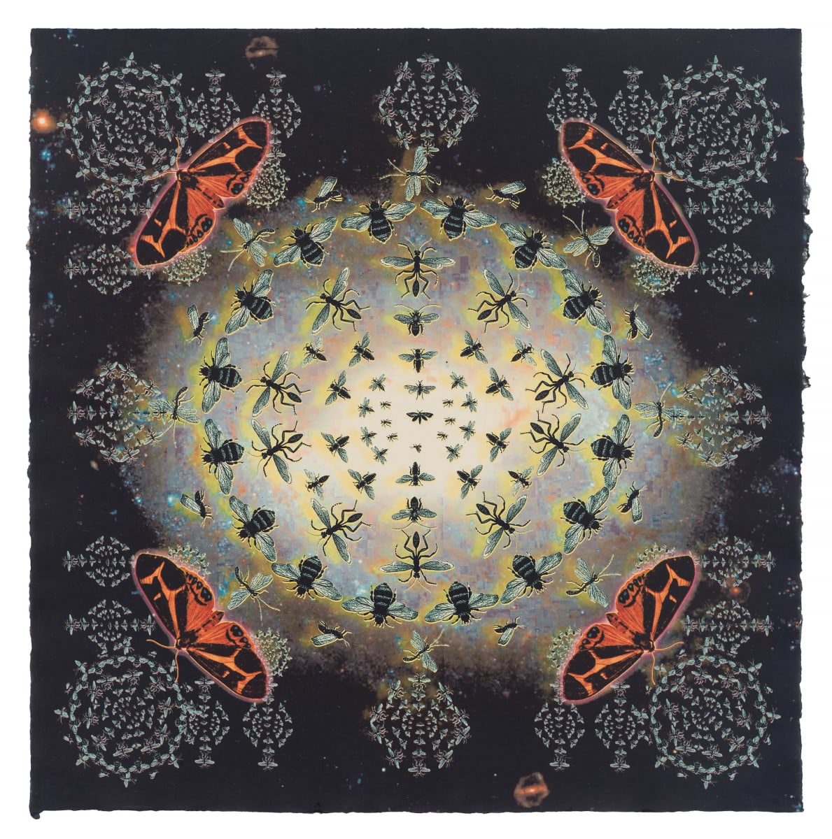 Big Bang (Ice) (ed 4) by April Vollmer  Image: Explosion at the beginning of time, with insects 
