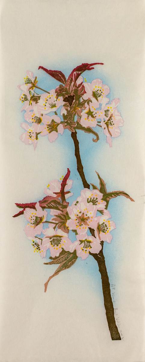 Wand (cherry flower for BBG) (ed 28) by April Vollmer  Image: cherry wand on lightweight washi with blue bokashi background