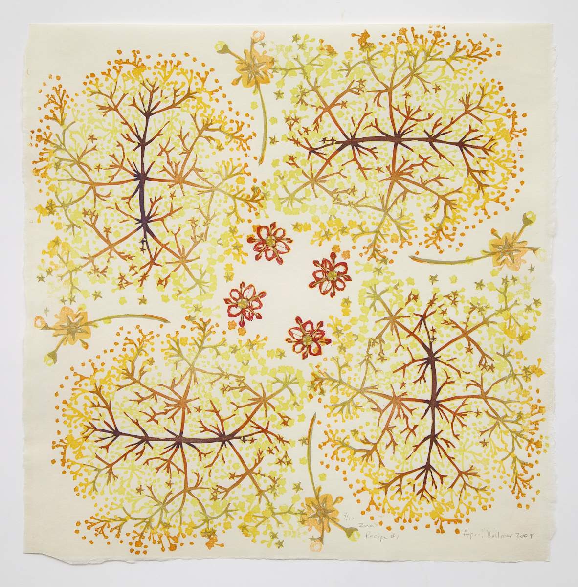 Zova Network #1 (yellow) (ed 10) by April Vollmer  Image: first color of this elderflower printed from two blocks, each printed four times
