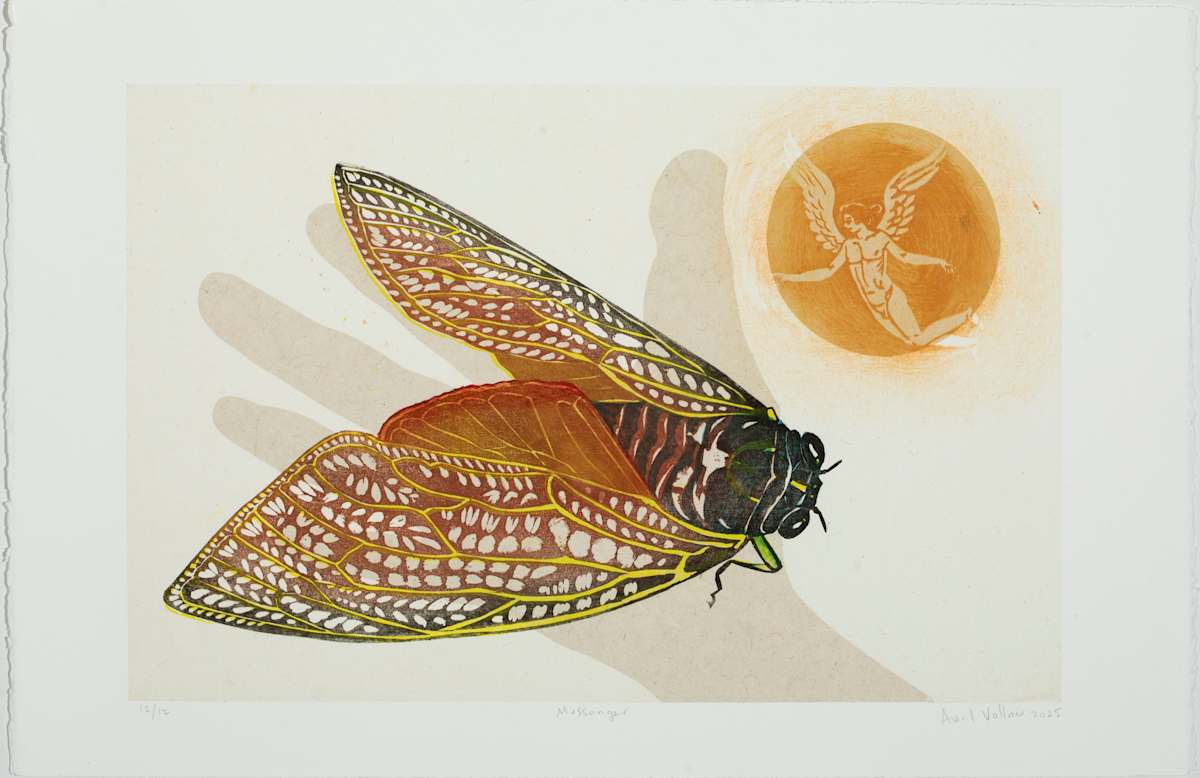 Messenger, Prime Number Cicada (ed 12) by April Vollmer  Image: cicada with an angel