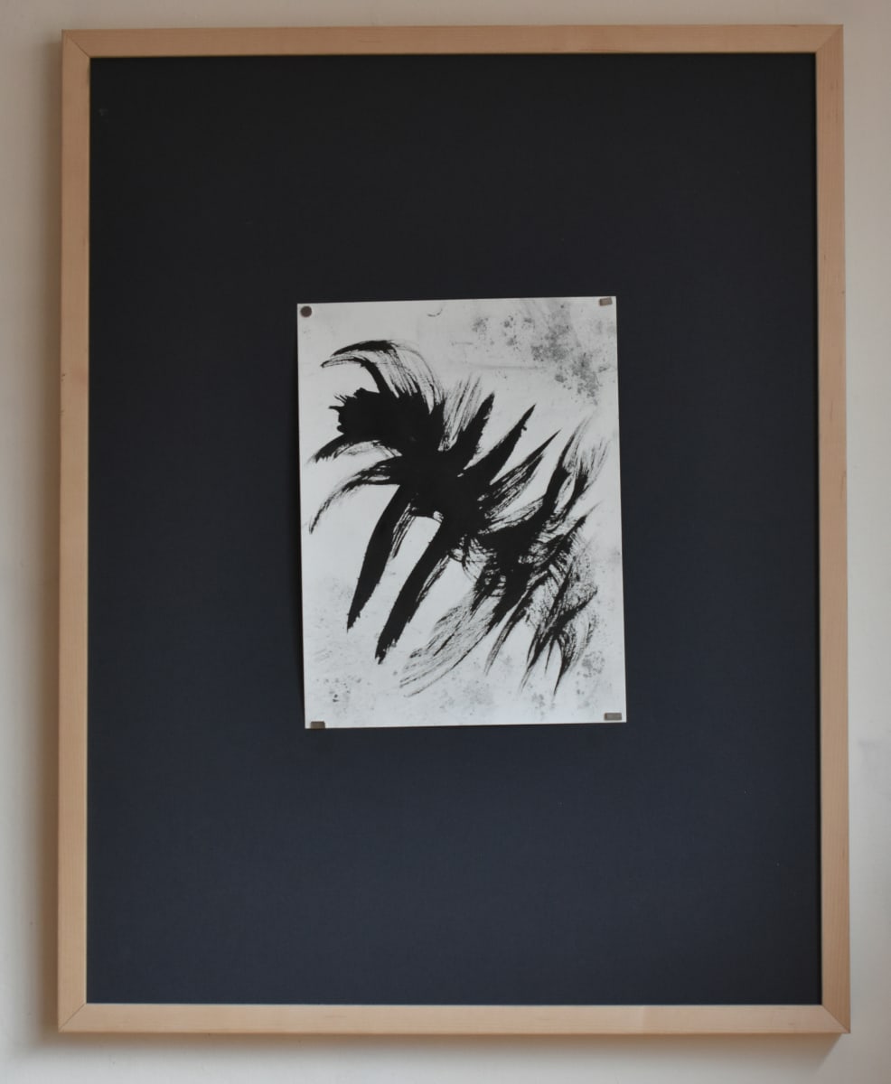 Variación III by Pedro Navarro 