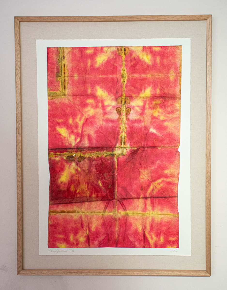 Transfiguración VII by Pedro Navarro 