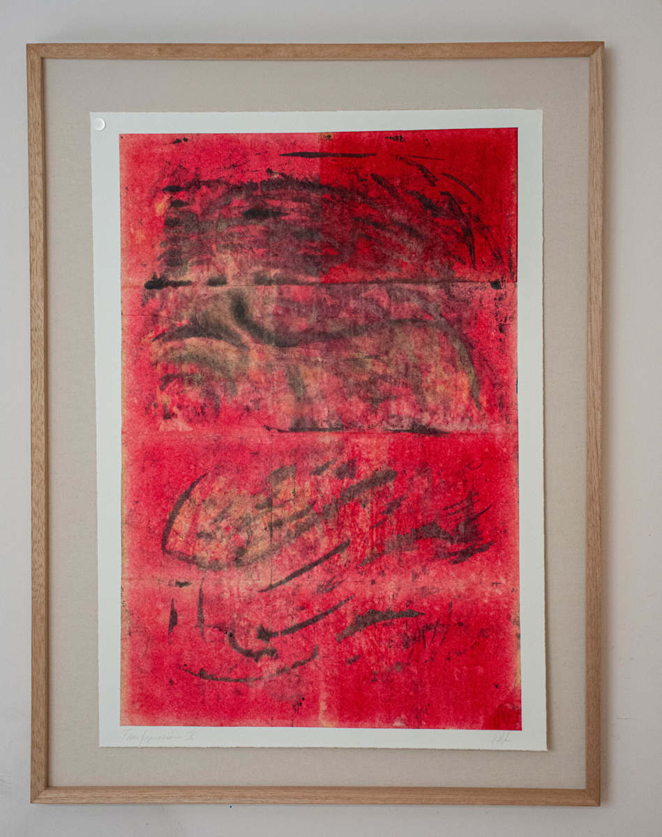 Transfiguración X by Pedro Navarro 