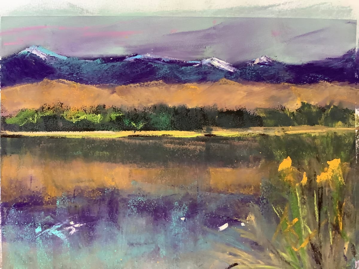 Clutha, Southland, NZ by Sheree Arden  Image: Clutha, Southland, New Zealand