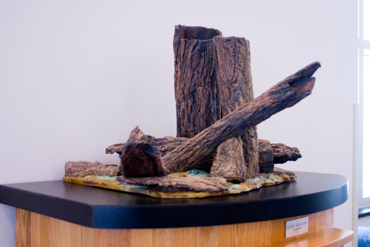 Nature's Architecture by Michael Byers 