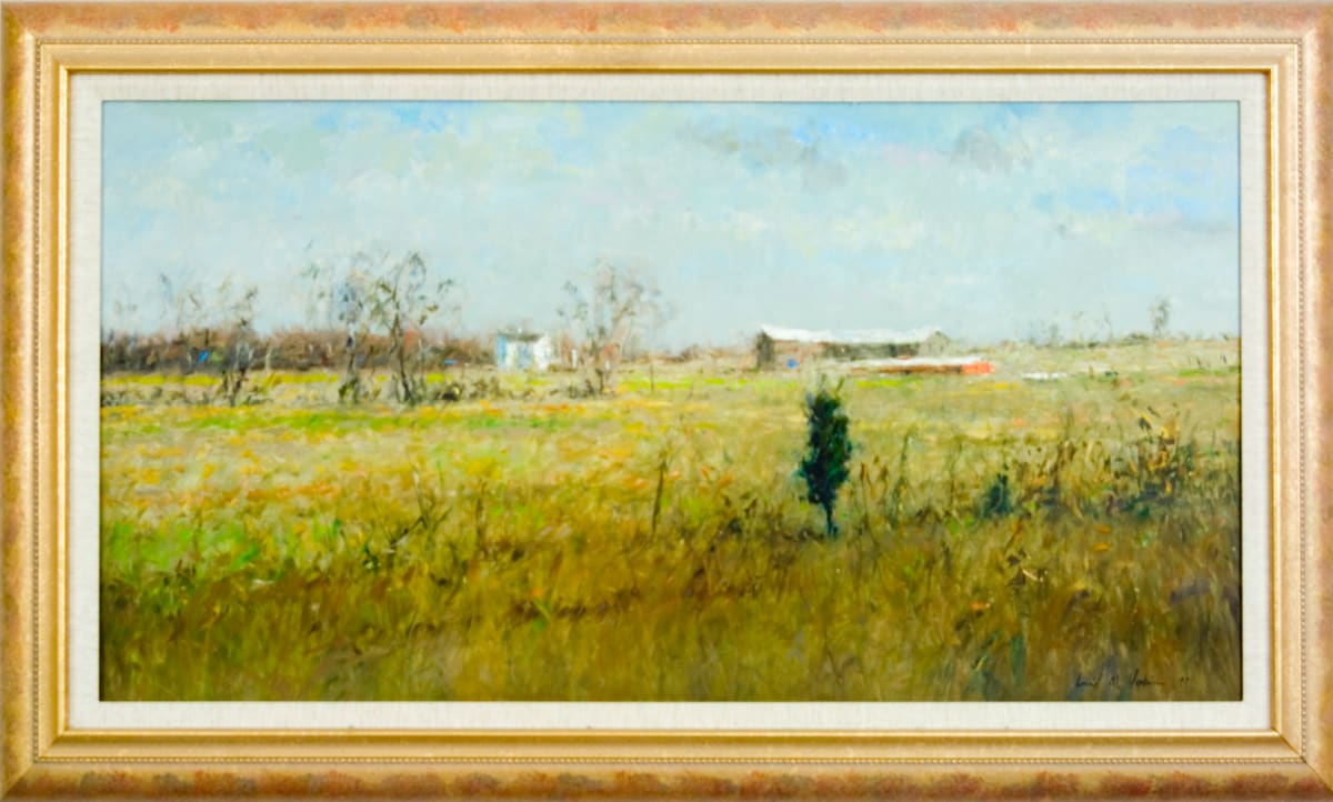 Lowell's Fence Rows by David Hopkins 