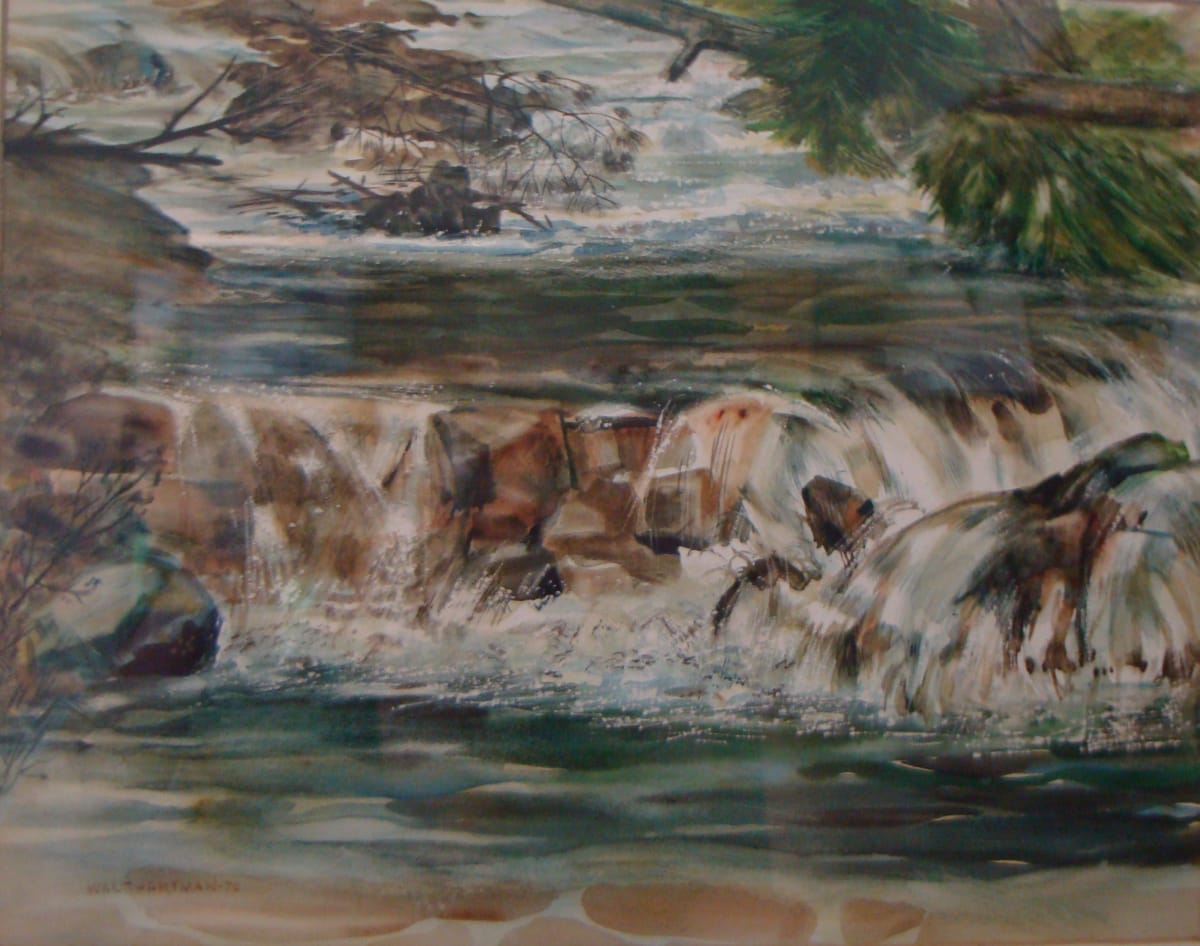Stony Brook by Walter Hartman 