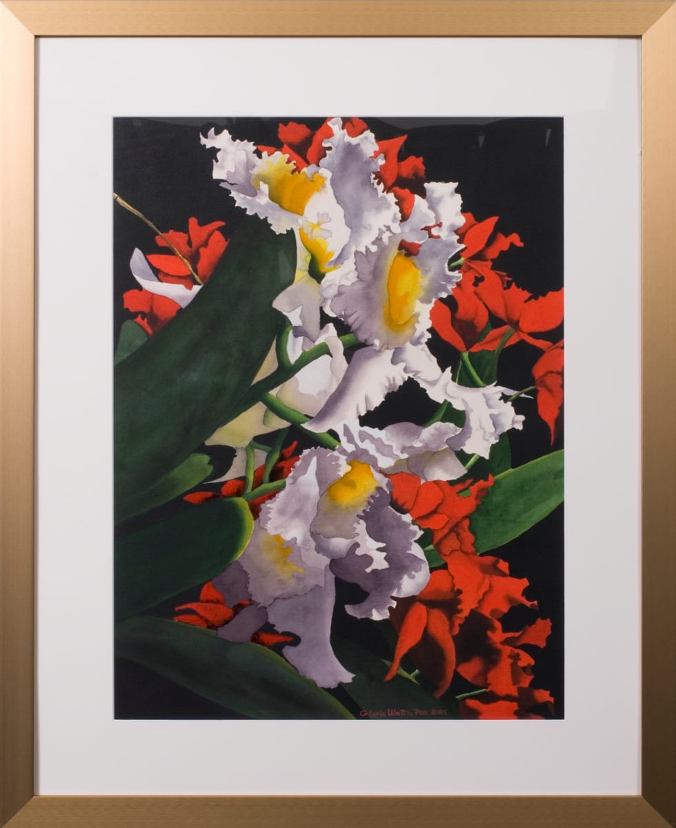 Orchids by Gloria Watts 