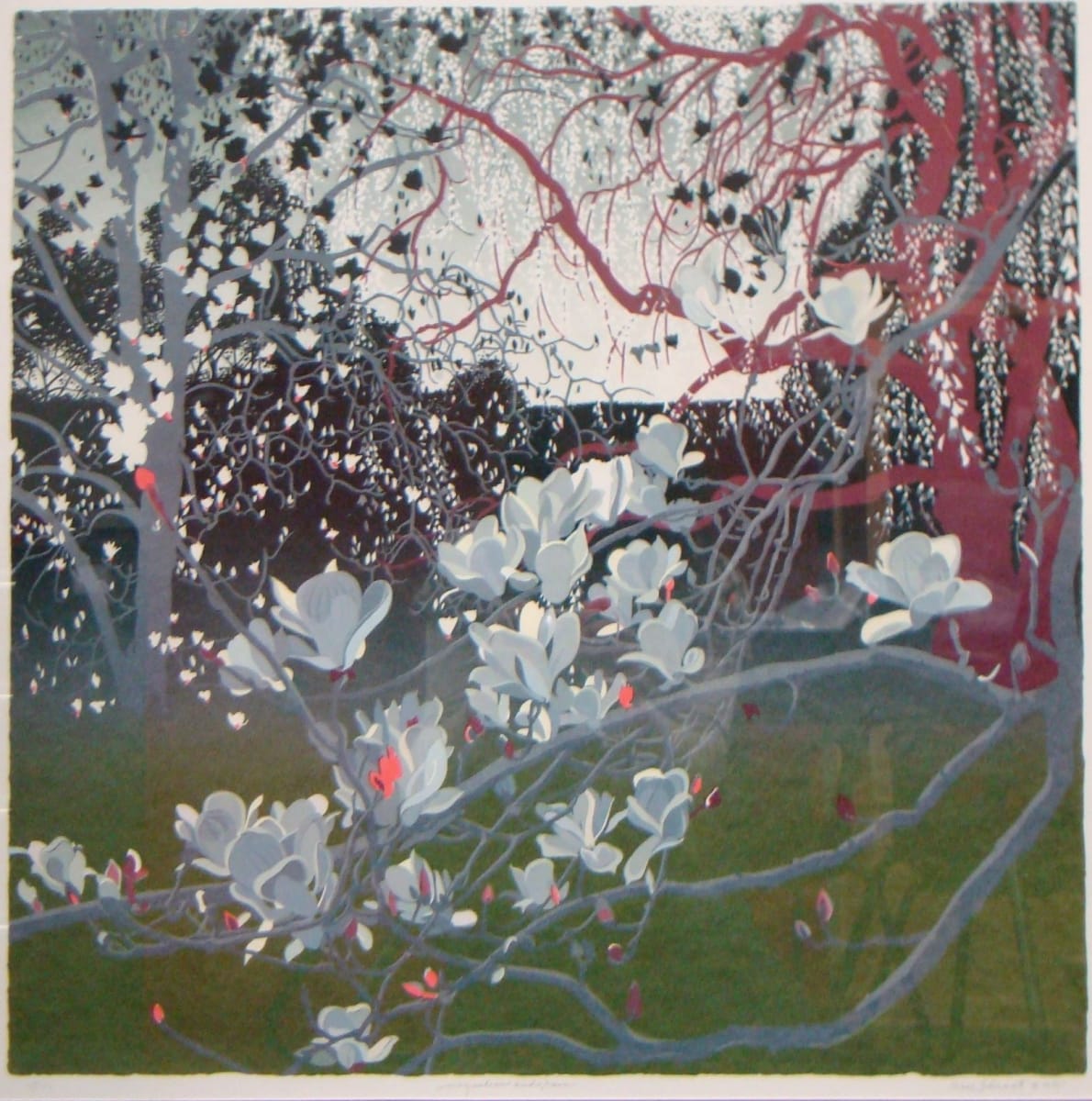 Magnolia & Rain by Carol Schwartz 