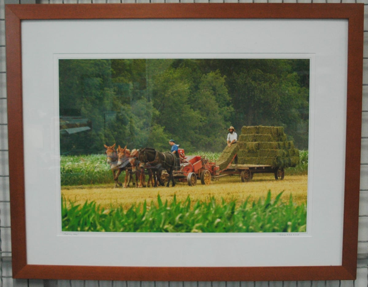 Making Hay, Nippenose Valley, PA by Terry Wild 