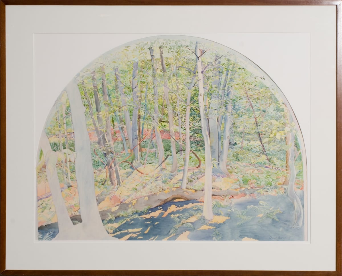 Gaia at Work, Gaia at Play by Carol Schwartz 