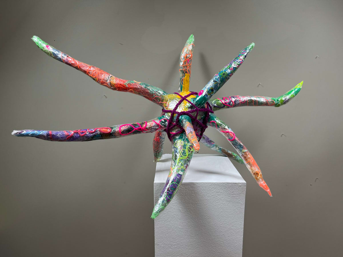 NP6 by Rachel Blythe Udell 