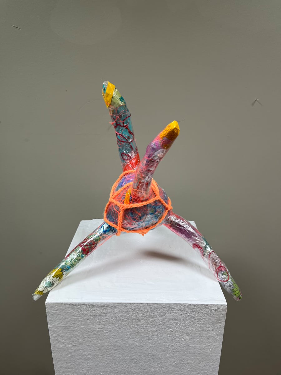 NP10 by Rachel Blythe Udell 