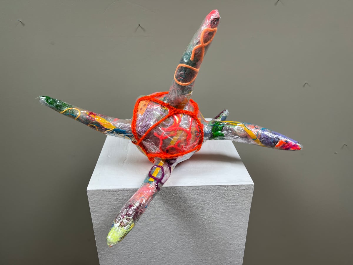 NP11 by Rachel Blythe Udell 