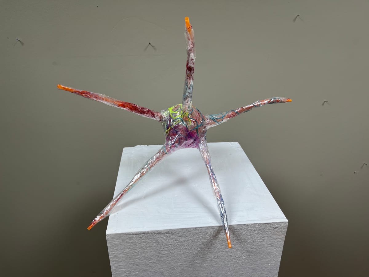 NP14 by Rachel Blythe Udell 