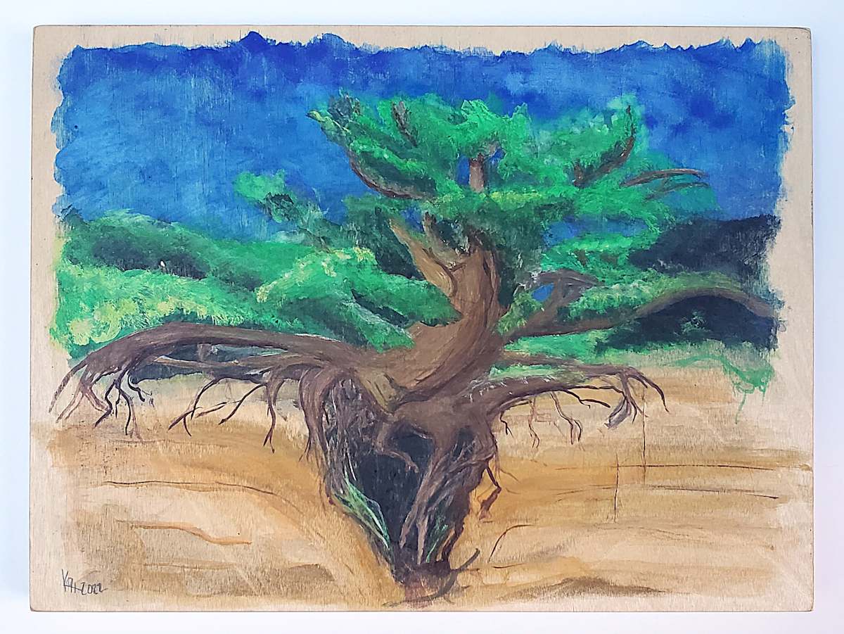 Kalaloch Tree of Life by Krista O'Halpin  Image: Kalaloch Tree of Life