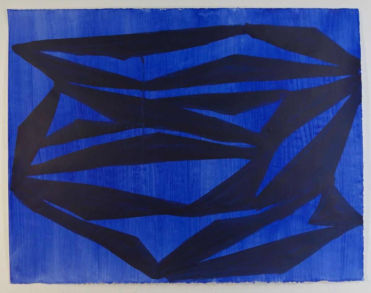 110122.3 by Tim McFarlane  Image: 110122.3, 2022, acrylic on paper, 19 x 25 inches