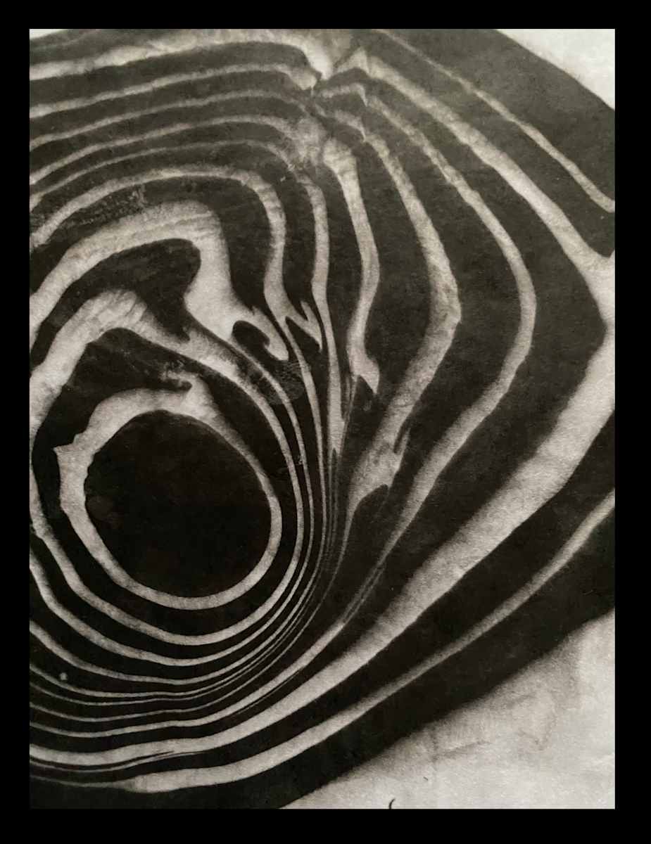Covid Enso / 5 by Masako Takahashi 