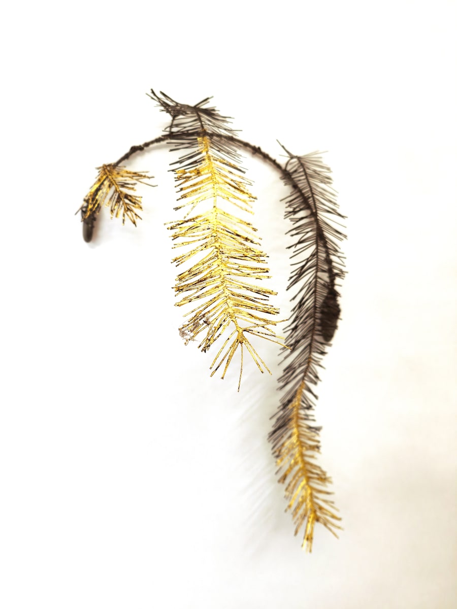 plume v by Alysn Midgelow-Marsden 