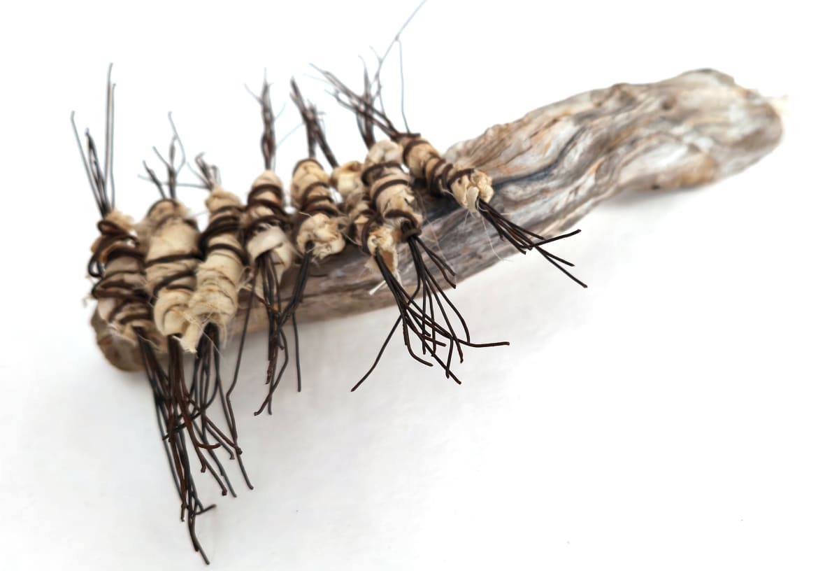 laying down memories by Alysn Midgelow-Marsden 