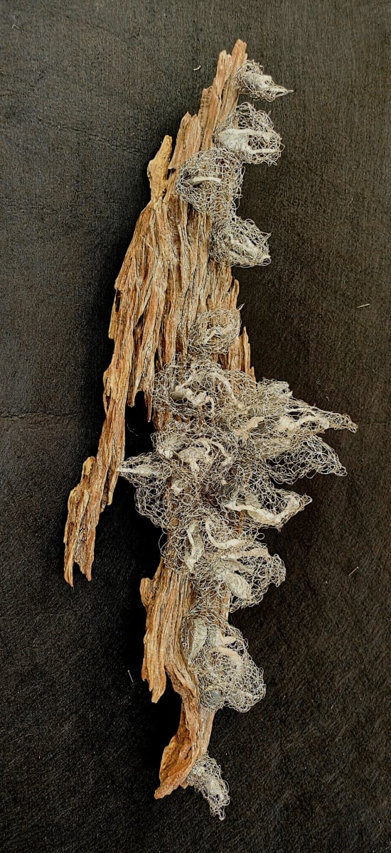 many ways of being conscious by Alysn Midgelow-Marsden 