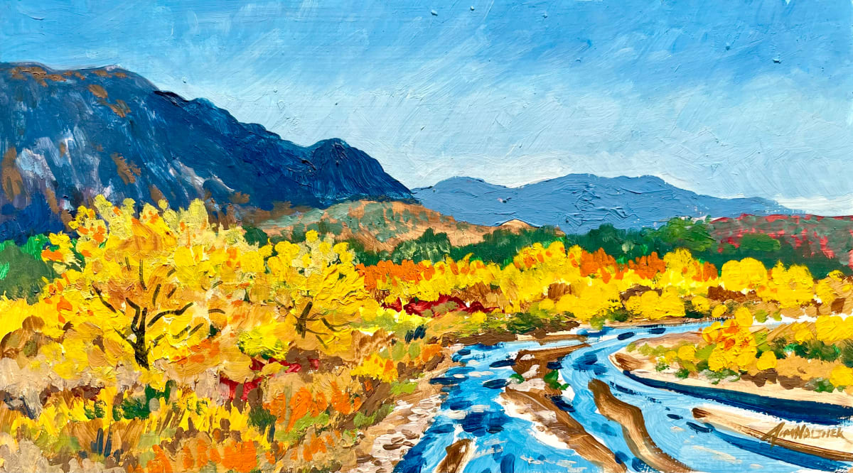 Rio Grande Bosque by Jim Walther  Image: From down on the river near Alameda bridge