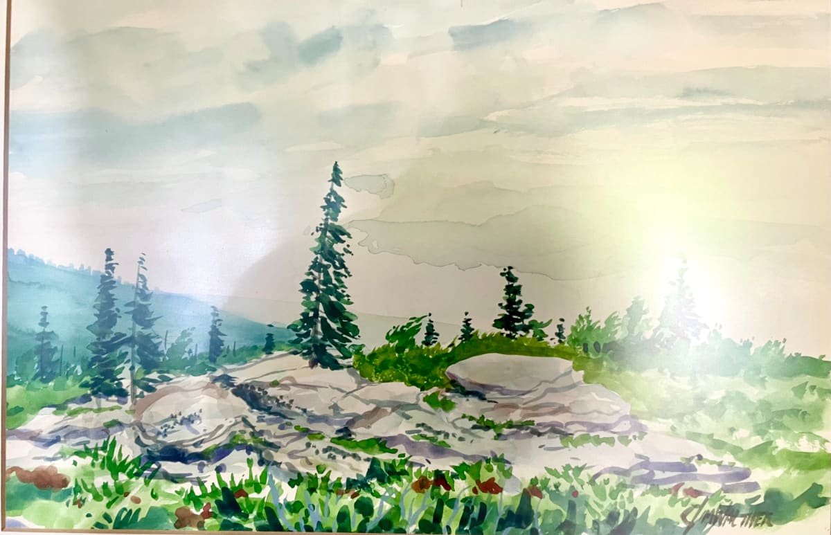 Dolly Sods by Jim Walther  Image: Painted in studio after camping near the top.