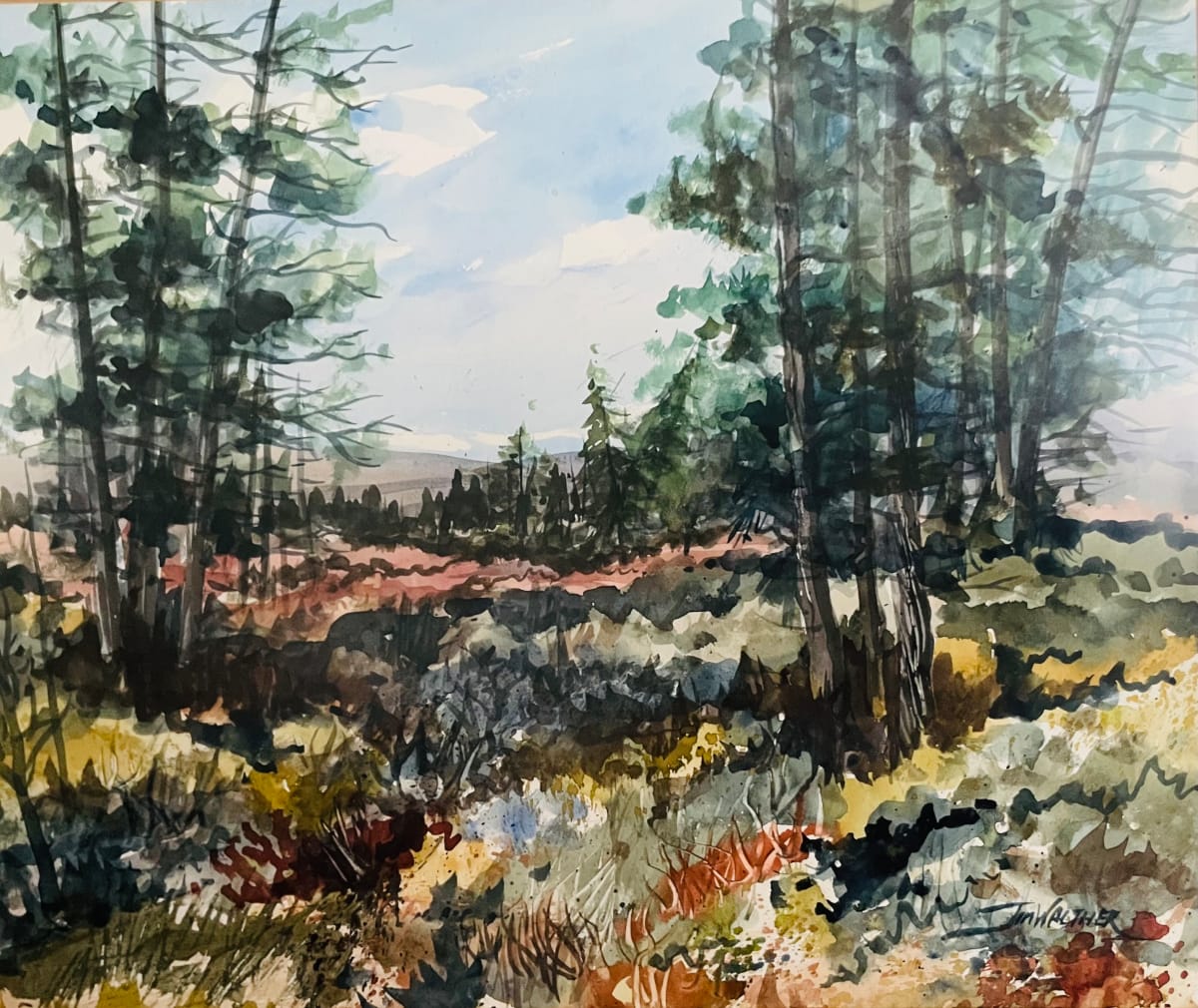 Cranberry Backcountry by Jim Walther  Image: Painted in studio in WV