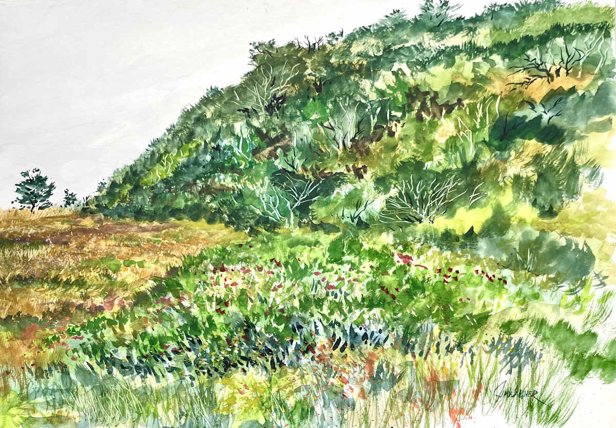 Beach Plums at Chatham by Jim Walther  Image: Painted on location on old Cape Cod