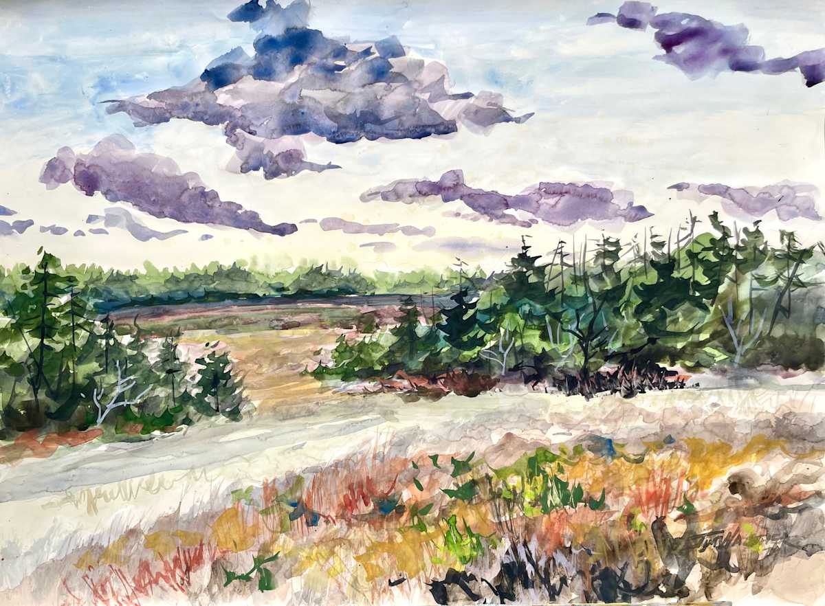 North Country View by Jim Walther  Image: Painted on a trip with college roomate Thad Settle in the New York north area near the Adirondak mountains.