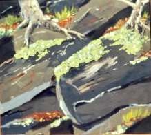 Roots on the River by Jim Walther  Image: Early oil painted in Bigley Ave. studio in WV