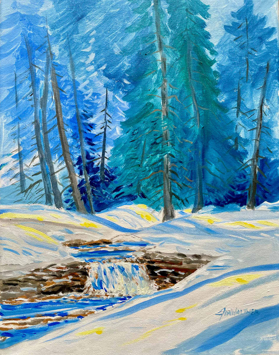 Winter Light by Jim Walther  Image: Capturing the low early morning winter light on snow under the pines in northern New Mexico.  You can almost hear the stream trickling over the rocks.