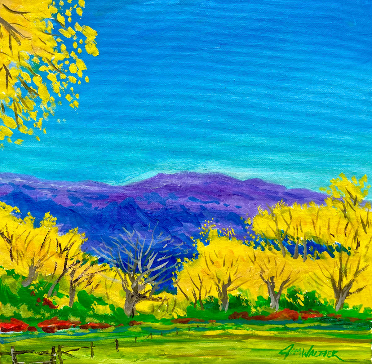 North Valley Gold by Jim Walther  Image: The fall beauty of the Cottonwood Trees on the Rio Grande in the north valley of Albuquerque with Sandia Crest behind them shows that winter is coming nearer.