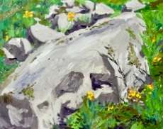 Rocks with Wildflowers by Jim Walther  Image: A view up way high in the fields of Canaan Valley, WV