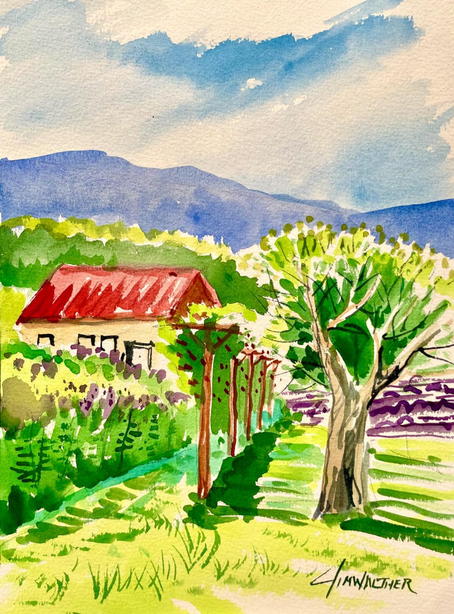 Vineyard view, Los Ranchos by Jim Walther  Image: Sandia mountains rise behind the north valley lavender fields
