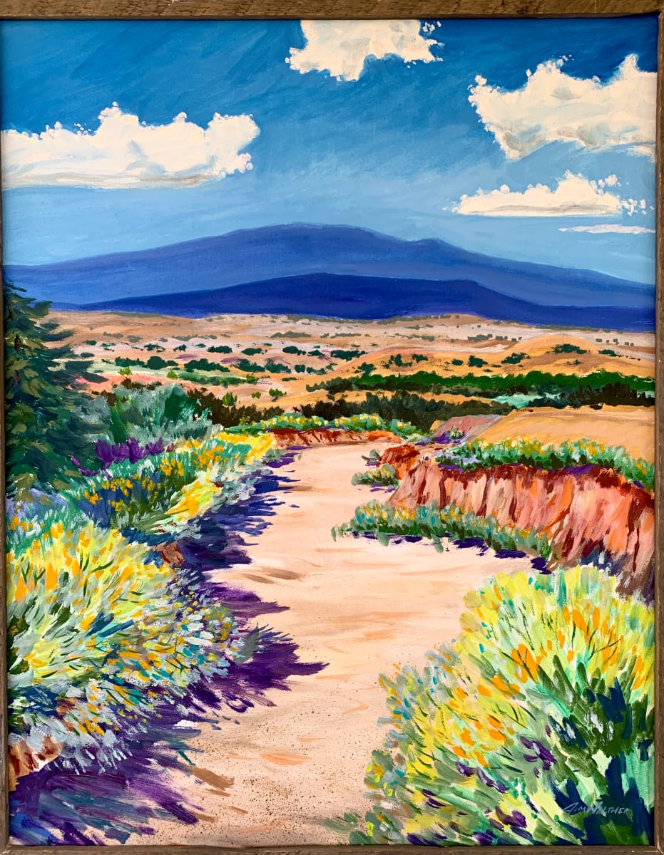 Santa Fe Arroyo by Jim Walther  Image: This captures the intense bright light and dark shadows of New Mexico