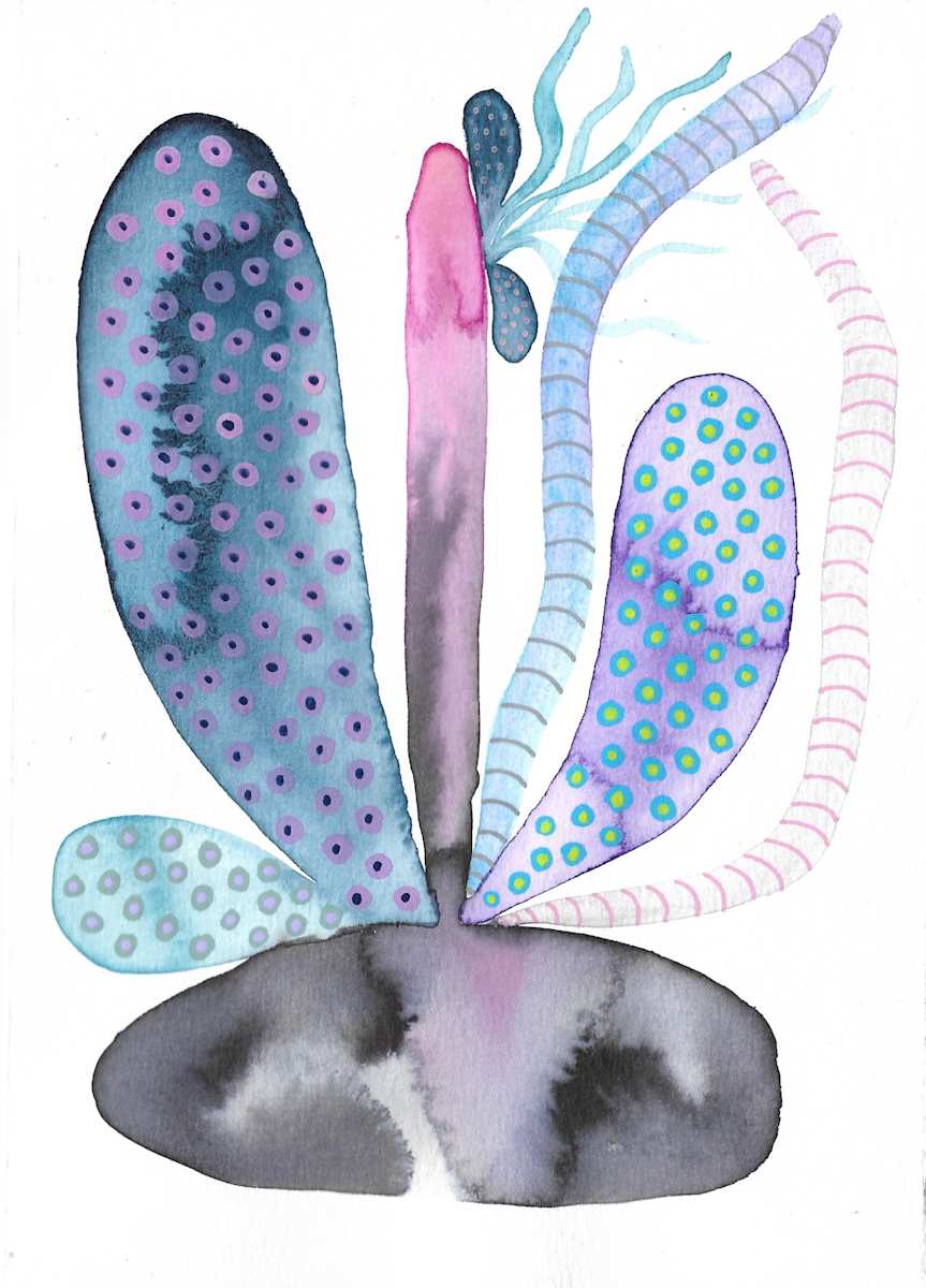 Weird Plant by kelly mccallum 
